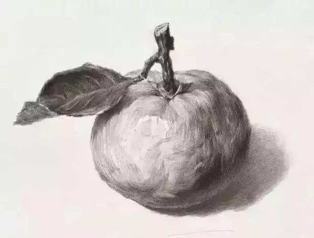 素描基础临摹图库