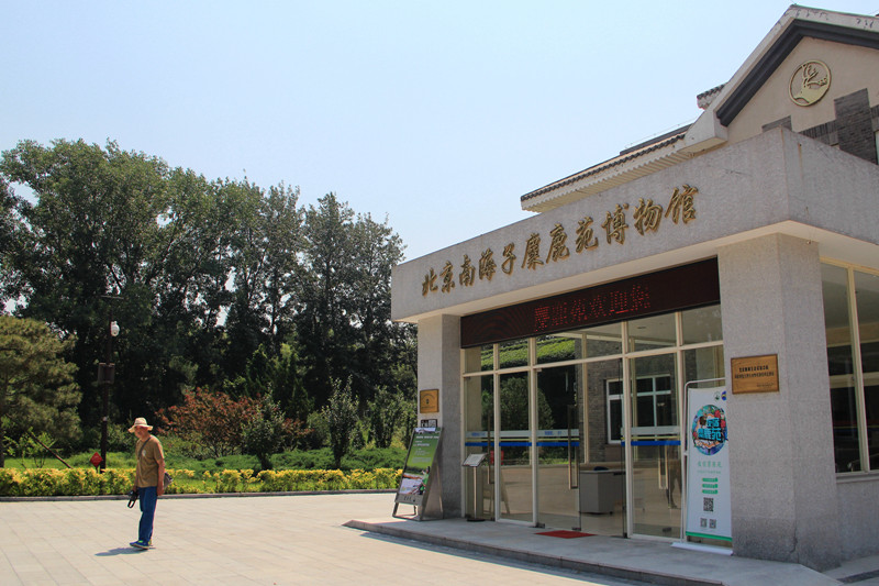 【北京】南海子麋鹿苑