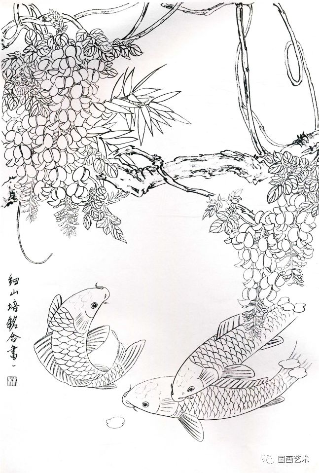 图文教程工笔锦鲤画法与白描画稿