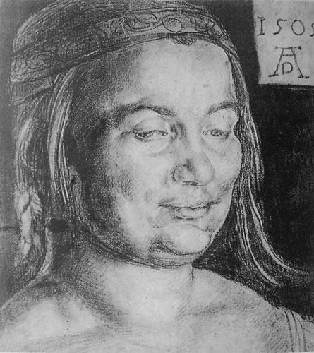 丢勒作品(版画 . 素描) - 好网角收藏夹