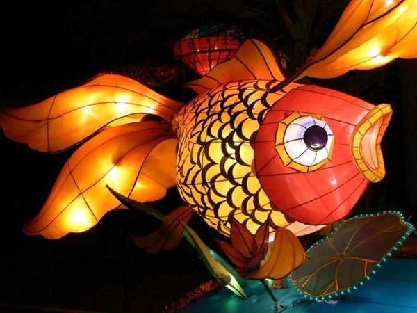 芜湖市无为县非遗"鱼灯"历史悠久,年年喜闹新春 寓意年年有余 - 好网