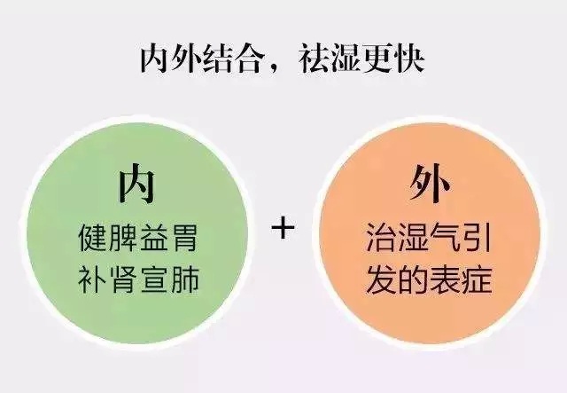 脾虛溼氣重怎麼調理好?學會1招,脾胃好了,祛溼更快 - 好網角收藏夾