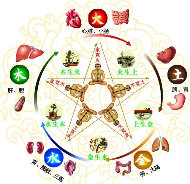 【原】肝肾亏虚为何会导致腰腿疼痛? - 好网角收藏夹