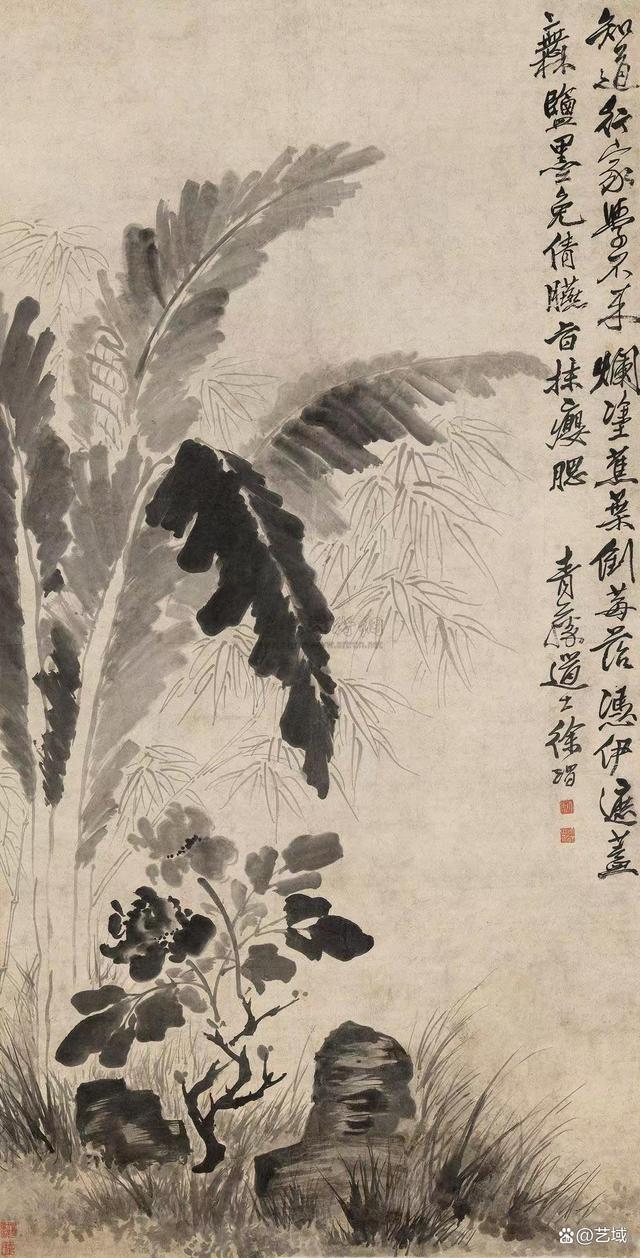 青藤老人徐渭花鸟画赏析