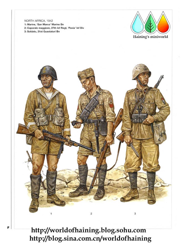 二战·意大利军队军服图册(2)非洲战场 