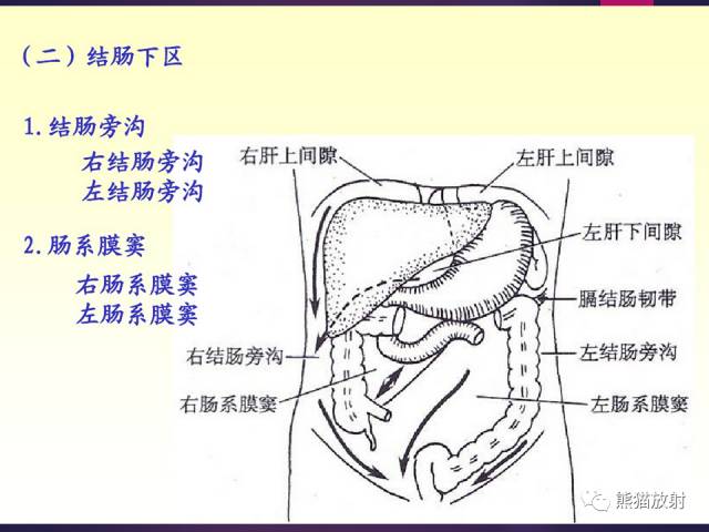 【解剖】腹膜及腹膜腔(经典讲解汇总) 