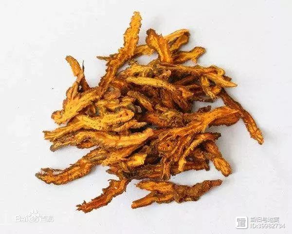 姜黄连,是将净黄连照姜汁炙法炒干,每100kg黄连 ,用生姜12.5kg制成.